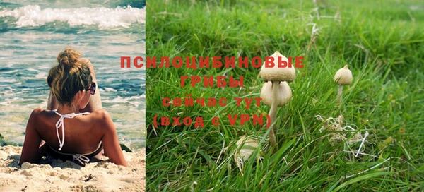 ешки Зеленодольск