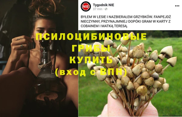 ешки Зеленодольск